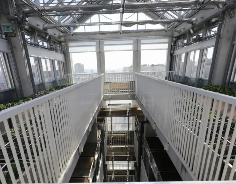 Cité maraîchère de Romainville — photo 3