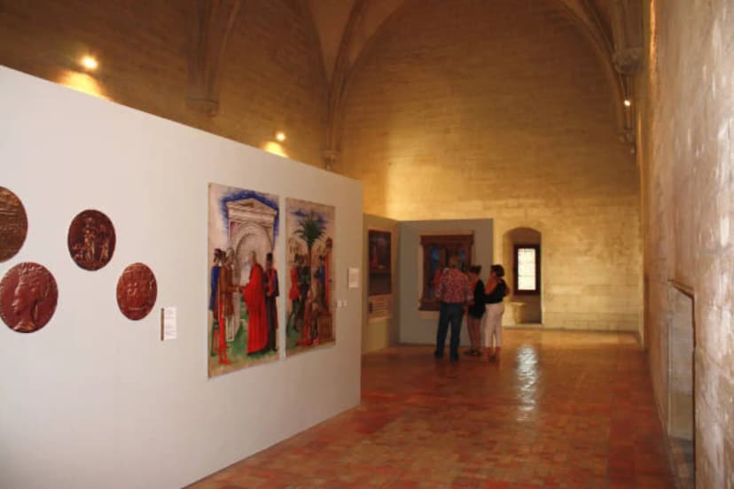 Tarascon Castle — photo 3