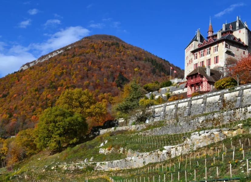 Château de Menthon-Saint-Bernard — photo 4