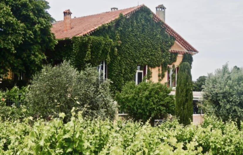 Domaine Grand Père Jules — photo 4