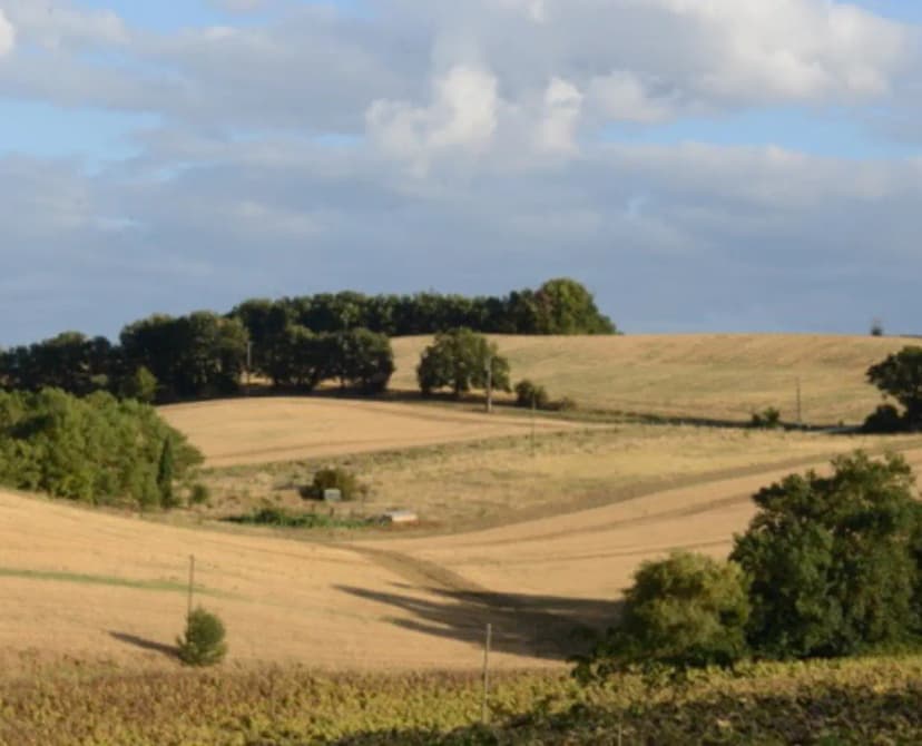 Lestrade Salle, Séminaire & Event — photo 4