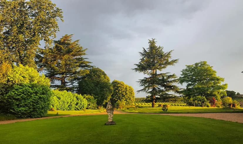 Château Lardier — photo 5