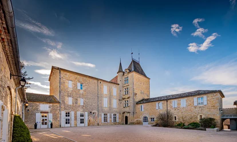 Chateau De Mons En Armagnac - Hotel - Restaurant - Store — photo 1