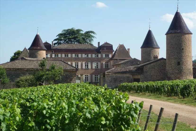 Château de Chasselas — photo 3
