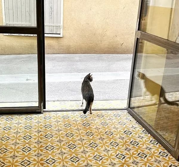 La Maison Yoga Pilates — photo 4
