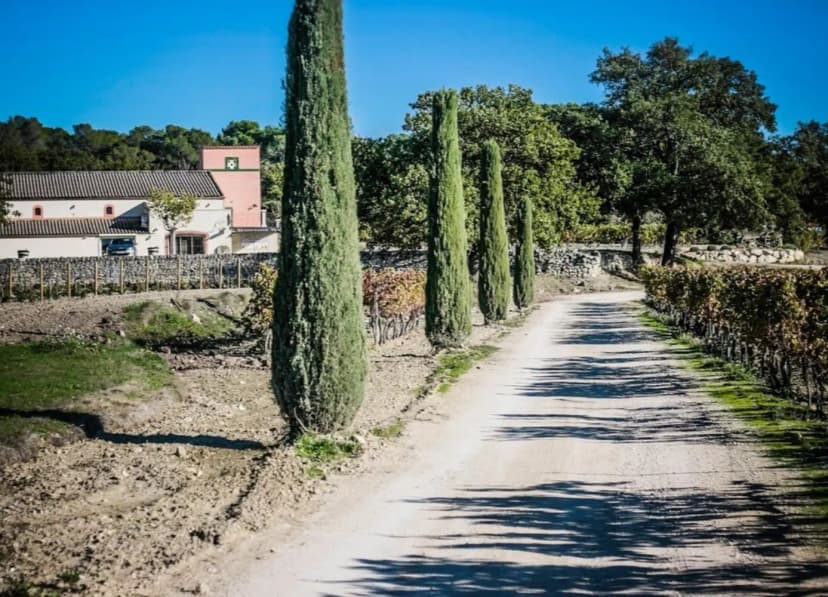 Domaine Naïs — photo 4