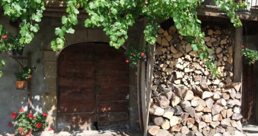 Domaine du Grand Cellier — photo 2