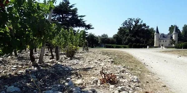Château d'Agassac — photo 4
