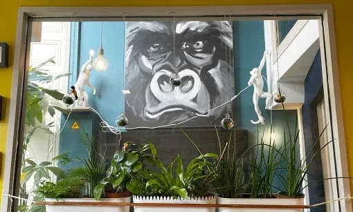 Coworking & Salle de réunion en face de la piscine — photo 1