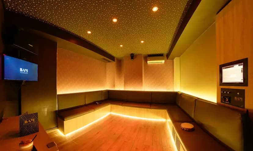 BAM Karaoke Box Richer — photo 4