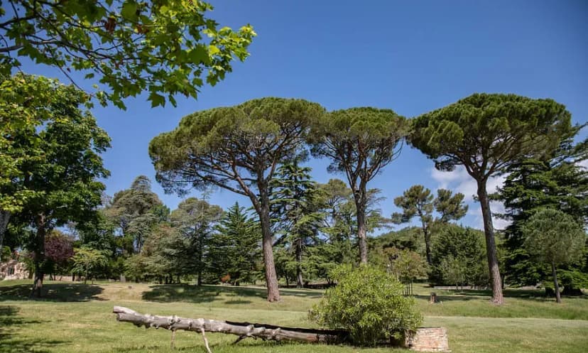 Domaine de Tourris — photo 5