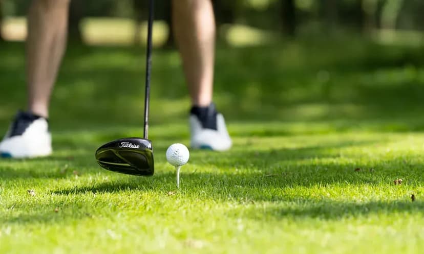 Bresse Golf — photo 4