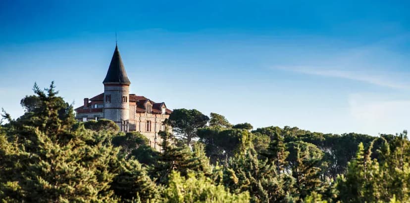 Château Capitoul — photo 1