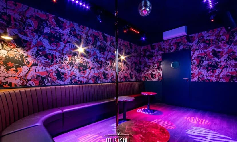 Musikall Bar Karaoké Box — photo 4