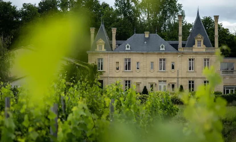 Château Meyre — photo 1