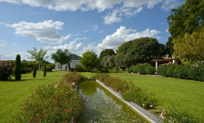 Domaine Saint Andre — photo 4