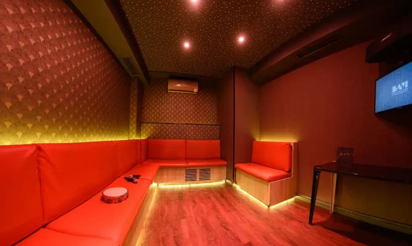 BAM Karaoke Box Richer — photo 3