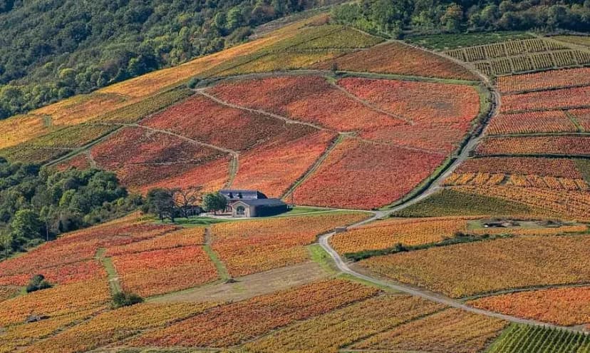 L'Ermitage de Brouilly — photo 1