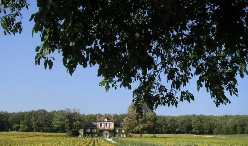 Domaine d'Ardhuy — photo 2