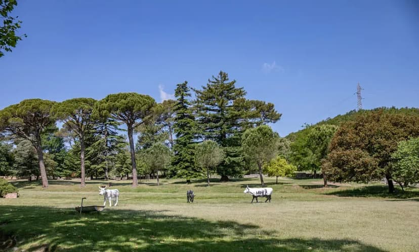 Domaine de Tourris — photo 4