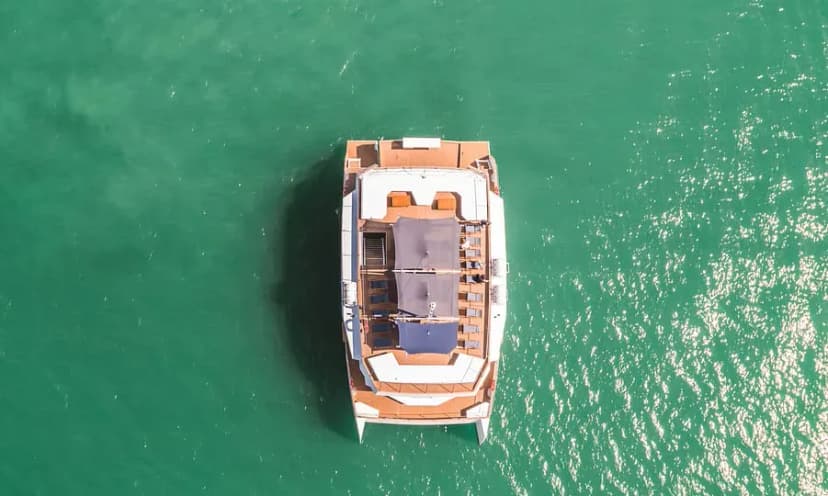 YMCA yachting Maritim Custom Assistance — photo 4