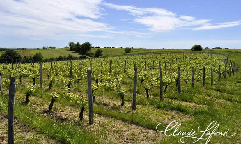 Domaine Claude Lafond — photo 3