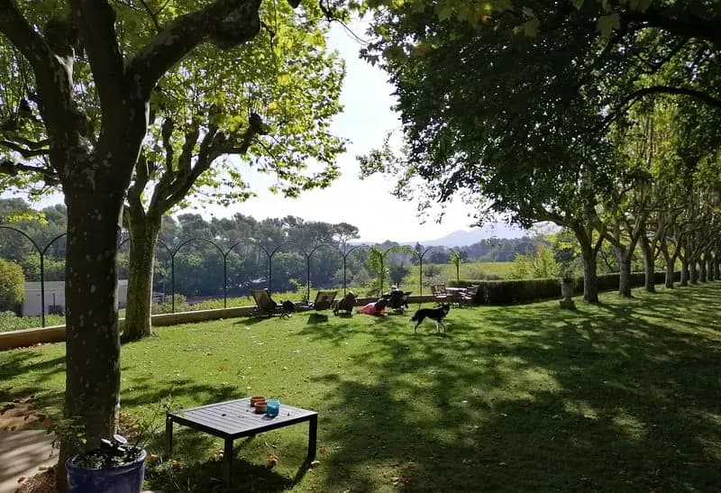 La Feraude — photo 3