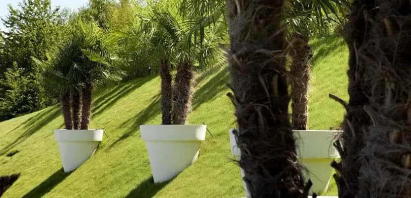 Hotel Du Golf — photo 4