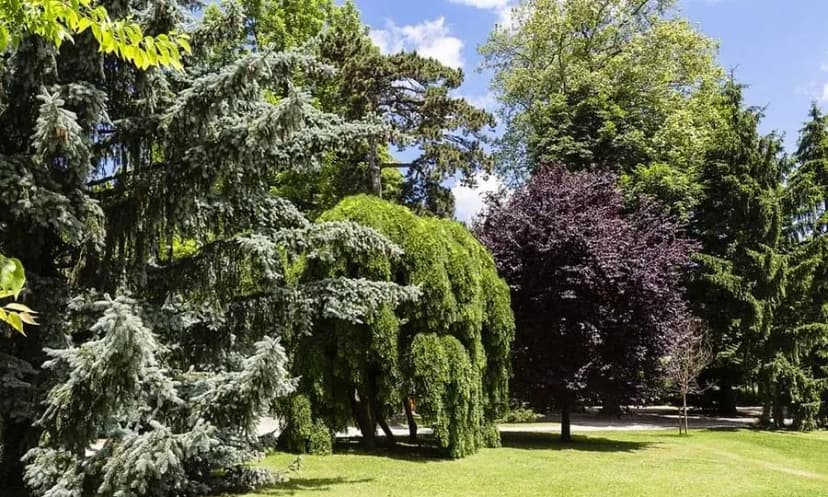 Domaine de Clairefontaine — photo 4