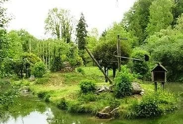 Zoo de Cerza — photo 5