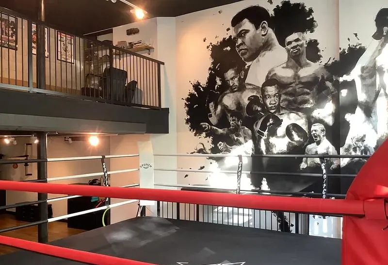 VPunch Gym — photo 1
