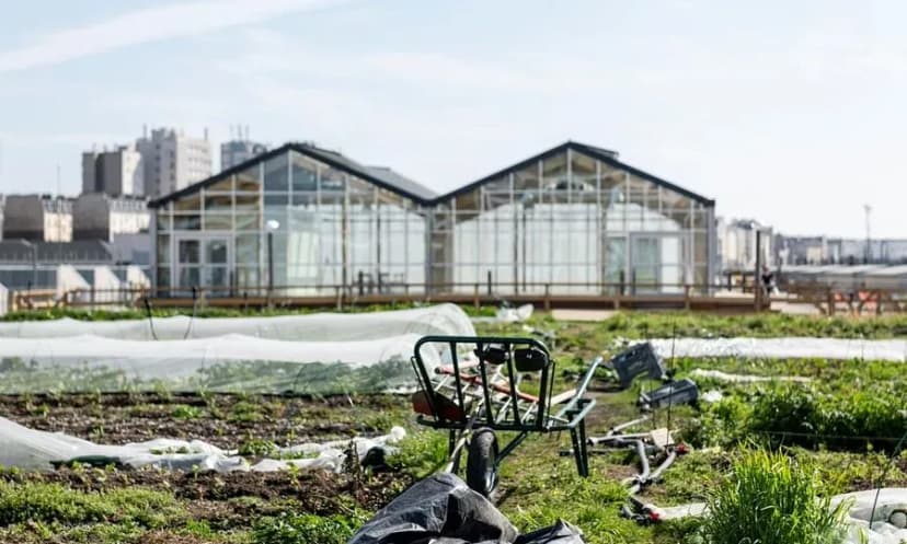Plantation Paris — Ferme Urbaine et Événements Engagés en Rooftop — photo 5