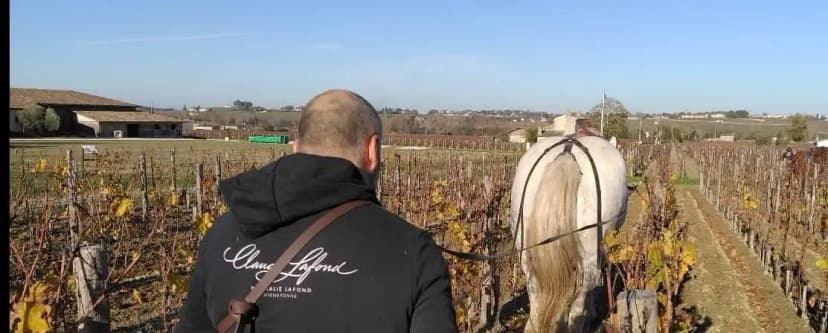 Domaine Claude Lafond — photo 2