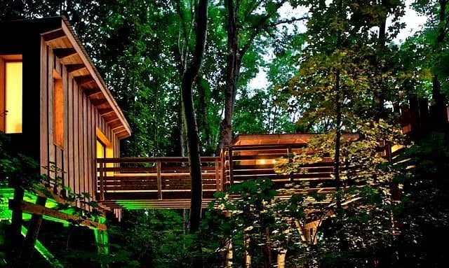 La Cabane de Lyon - Sainte Foy — photo 1