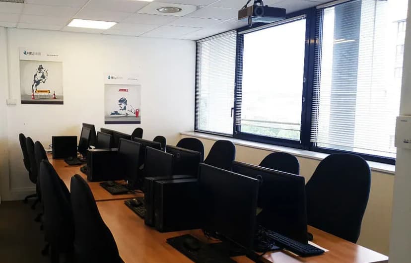 Sii Learning — photo 1