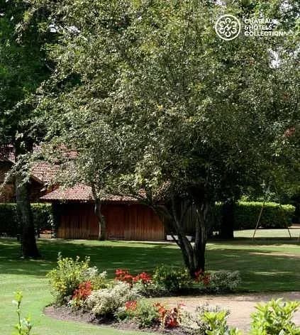 Auberge des Pins *** — photo 4