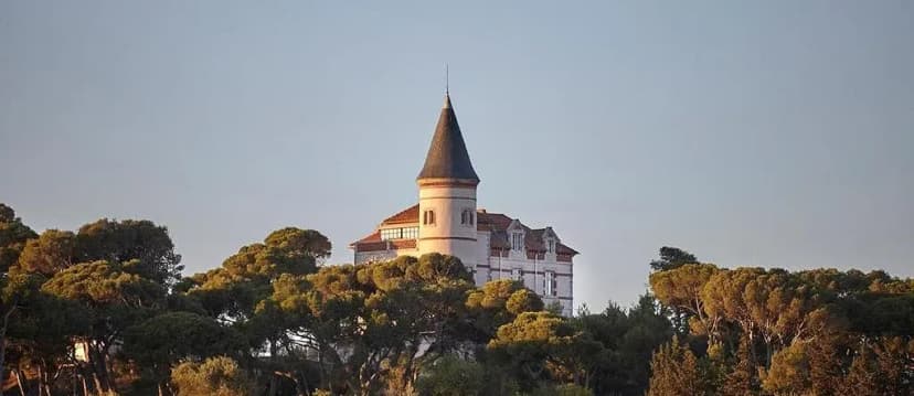 Château Capitoul — photo 5