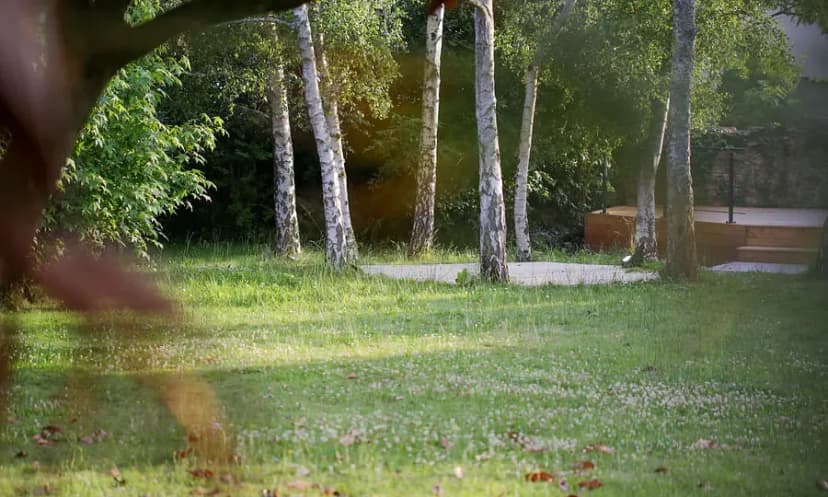 Domain La Chapelle Aux Roseaux — photo 5