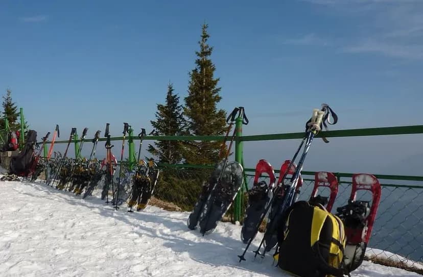 Les Gîtes Des 3 Sapins — photo 5