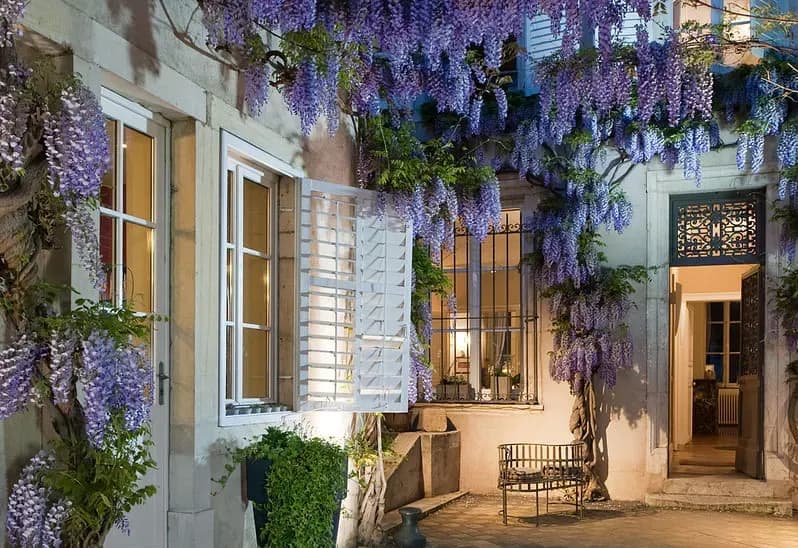 Maison d'Hôte Myon — photo 1