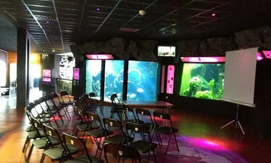 Aquarium of Lyon — photo 2