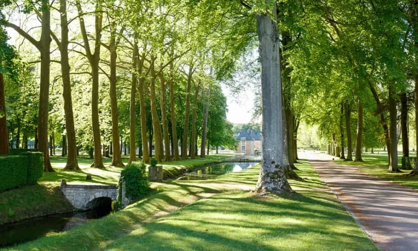 Domaine de Courances — photo 1