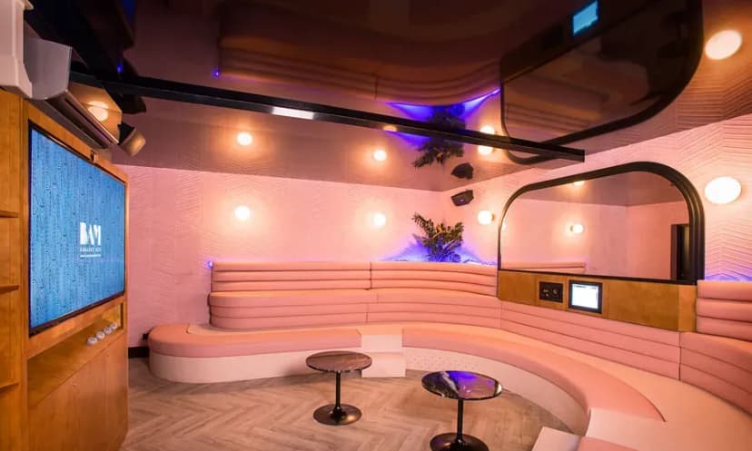 BAM Karaoke Box Parmentier — photo 2