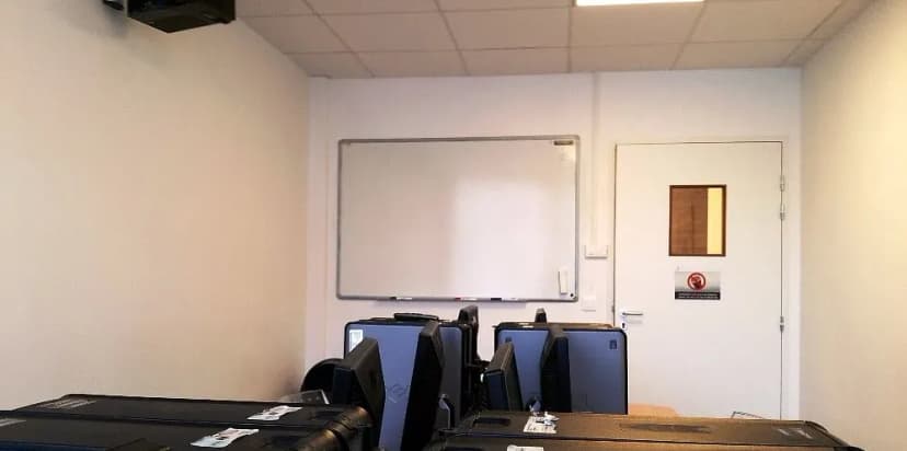 Sii Learning — photo 5