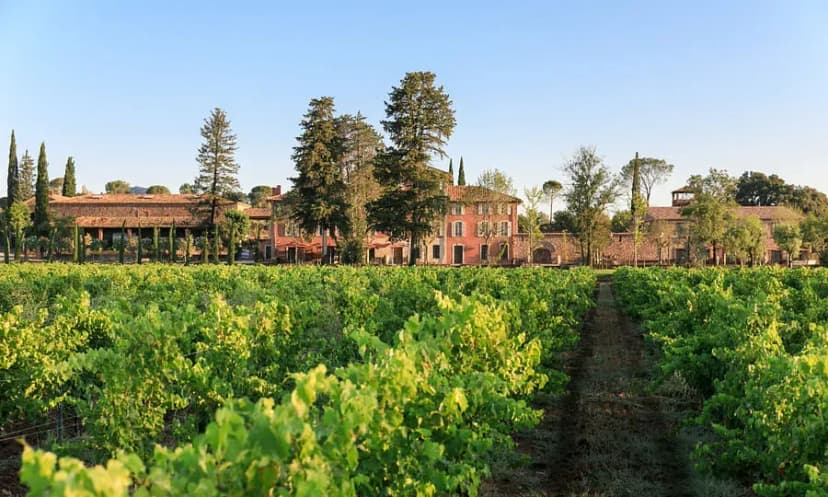 Château Saint-Roux — photo 1