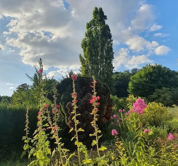 5 Sent. de la Bretonnière — photo 4