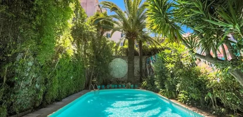 Le Windsor Jungle Art Hotel — photo 4