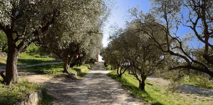 La ferme d'Anais Cassis — photo 2