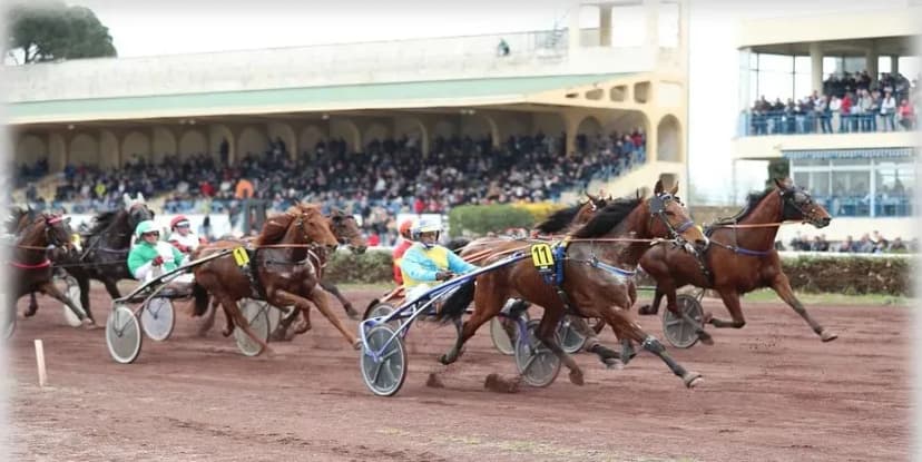 Racecourse of Crau — photo 3