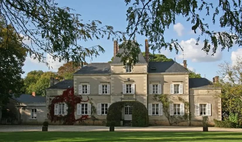 Château de la Pigossière — photo 1